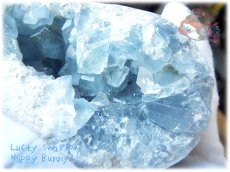 画像4: マダガスカル産 セレスタイト クラスター 結晶 標本 原石（別名：天青石 celestite） No.3439 (4)