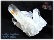 画像5: 天然水晶クラスター 標本 原石（別名：クォーツ quartz 石英） No.3465 (5)