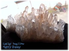 画像5: 天然水晶クラスター 標本 原石（別名：クォーツ quartz 石英） No.3471 (5)