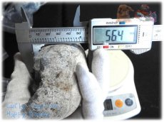 画像4: マダガスカル産 セレスタイト クラスター 結晶 標本 原石（別名：天青石 celestite） No.3888 (4)