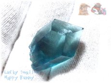 画像8: 標本加工品 海の宝石 コレクション向け パキスタン産 ブルーフローライト No.3906 (8)