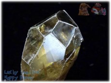 画像14: アイスランド産 オプティカルゴールデンカルサイト結晶 方解石 calcite ノンホールメガルース コレクション向け タスマリン No.3967 (14)
