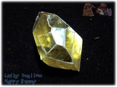 画像13: アイスランド産 オプティカルゴールデンカルサイト結晶 方解石 calcite ノンホールメガルース コレクション向け タスマリン No.3967 (13)