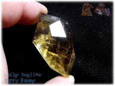 画像1: アイスランド産 オプティカルゴールデンカルサイト結晶 方解石 calcite ノンホールメガルース コレクション向け タスマリン No.3967 (1)