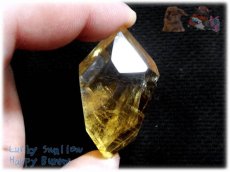 画像2: アイスランド産 オプティカルゴールデンカルサイト結晶 方解石 calcite ノンホールメガルース コレクション向け タスマリン No.3967 (2)