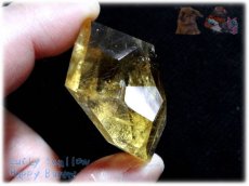 画像3: アイスランド産 オプティカルゴールデンカルサイト結晶 方解石 calcite ノンホールメガルース コレクション向け タスマリン No.3967 (3)