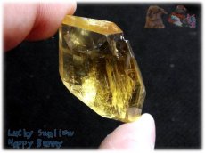 画像4: アイスランド産 オプティカルゴールデンカルサイト結晶 方解石 calcite ノンホールメガルース コレクション向け タスマリン No.3967 (4)