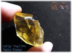 画像6: アイスランド産 オプティカルゴールデンカルサイト結晶 方解石 calcite ノンホールメガルース コレクション向け タスマリン No.3967 (6)