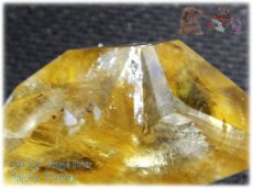 画像10: アイスランド産 オプティカルゴールデンカルサイト結晶 方解石 calcite ノンホールメガルース コレクション向け タスマリン No.3967 (10)