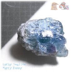 画像7: ◆ 秘蔵品 宝石質 特殊希少カラー ブルーフローライト 欠片 結晶 蛍石 原石 No.4899 (7)
