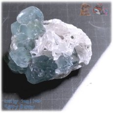 画像6: ◆ 秘蔵品 宝石質 特殊希少カラー ブルーフローライト 欠片 結晶 蛍石 原石 No.4900 (6)