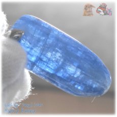 画像9: ◆ 宝石質 結晶 限定品 チベット産 藍晶石 カイヤナイト Kyanite 欠片 原石 ペンダント ネックレス No.5230 (9)