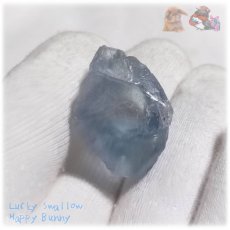 画像6: 特別な素材 天青石 セレスタイト 原石 結晶 ラフロック celestite No.5758 (6)