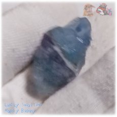 画像6: 断面標本 希少特殊カラー ブルーフローライト 青蛍石 No.5988 (6)