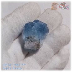 画像8: 断面標本 希少特殊カラー ブルーフローライト 青蛍石 No.5989 (8)