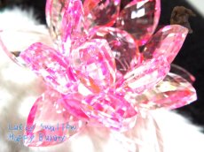 画像5: クリスタルガラス ロータス ピンク てんてんの贈り物♪ No.02 (5)