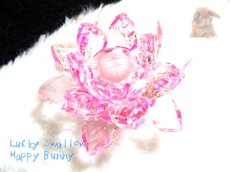 画像4: クリスタルガラス ロータス ピンク てんてんの贈り物♪ No.02 (4)