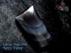 画像7: 工房謹製 レインボーオブシディアン カリフォルニア産　別名：黒曜石 obsidian No.2960♪ (7)