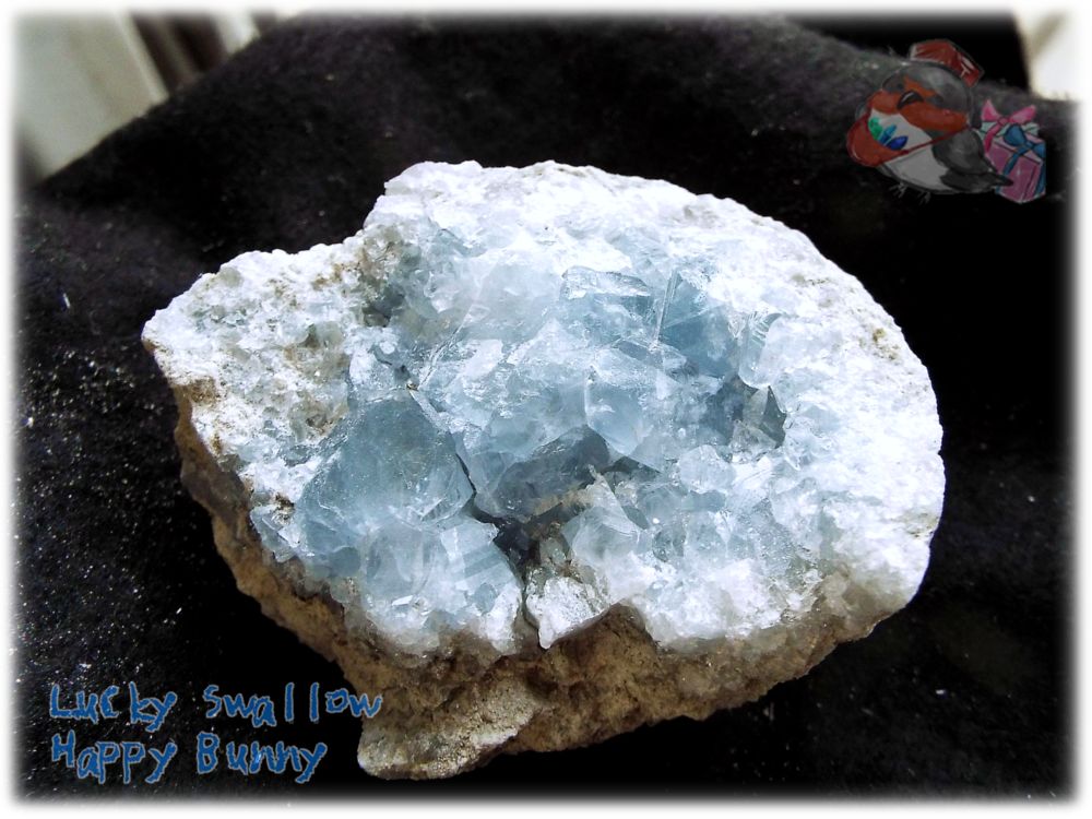 天然石 マダガスカル産 セレスタイト クラスター 結晶 標本 原石（別名：天青石 celestite） No.3443 天然 小さなミネラルフェス♪  マダガスカル産 セレスタイト クラスター 結晶 標本 原石（別名：天青石 celestite） No.3443