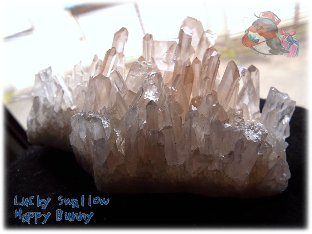 天然石 天然水晶クラスター 標本 原石（別名：クォーツ quartz 石英） No.3471 鉱石・石類 小さなミネラルフェス♪ 天然水晶